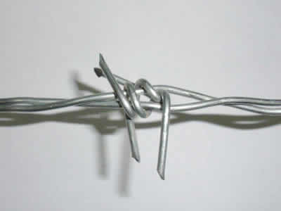 Double Twist Barbed Wire