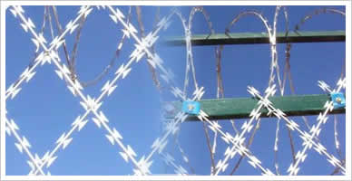 Hot Dipped Galvanized Concertina Coil Loops